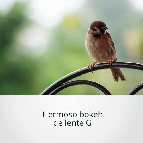 Miniatura 3 de Sony Sel70350g, Objetivo 70-350 Mm F4.5-6.3 G Superteleobjetivo Zoom Aps-C, Con Oss, Montura E. Ideal Para Naturaleza, Deportes Y Viajes Compatible Con Zv-E10, A6400, A6700