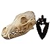 Herron Outdoors - Skull Wall Mount Hanger Hook (Archery)