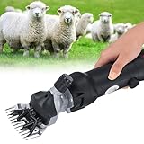 Lames pour une tonte efficace : lames conçues pour des coupes nettes et rapides, avec une pression réglable pour une tonte précise.