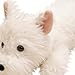 JIEBWCHA Peluche Perro Imagen de JIEBWCHA Peluche Perro