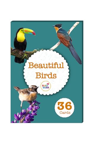 Image of Beautiful Birds Flash Cards | 36 Laminated Cards | Age Group: 2-4 Years | Science Educational & Fun Activity for Kids