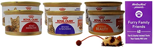 Royal Canin Slices in Gravy Cat Food 3 Flavor 6 Can Sampler, (2) Each: Adult Instinctive, Spayed & Neutered, Intense Beauty (3 Ounces) - Plus Catnip Toy and Fun Facts Booklet Bundle