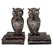 Bombayjewel Wide Eyed Owl Bookend Pair