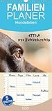 ÖKOLOGISCH - Der CALVENDO Verlag ist ein ökologisch agierendes Unternehmen, das sich zielorientiert für Umweltschutz und Nachhaltigkeit einsetzt. Durch die bedarfsgerechte Einzelfertigung im Print-on-demand Verfahren entsteht eine deutliche Abfallreduzierung. Dabei verwendet CALVENDO nur Papier, das den FSC-Vorgaben entspricht. Die Druck- und Produktionsstandorte befinden sich in Deutschland (Qualität Made in Germany) = klimabewusste Logistik durch kurze Transportwege.