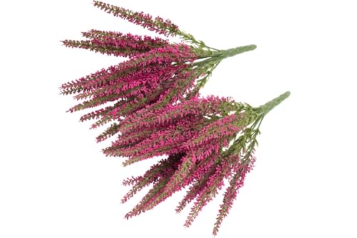 Botanic-Haus künstliche Erika/Erikabusch/Heidekraut mit 19 Stielen, Höhe ca. 29 cm, Farbe: Fuchsia (2 Stück) Botanic-Haus künstliche Erika/Erikabusch/Heidekraut mit 19 Stielen, Höhe ca. 29 cm, Farbe: Fuchsia (2 Stück)