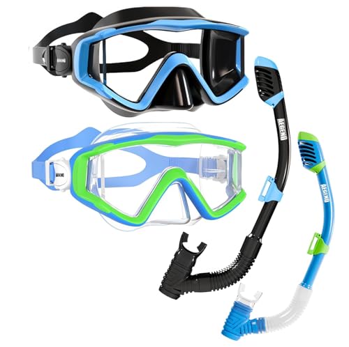 Aegend Snorkeling Gear for Adults Youth Kids, Snorkel Mask with Top Dry Valve - Panoramic View Anti-Leak and Anti-Fog with Mesh Bag for Snorkeling, Scuba Diving, Freediving & Swimming