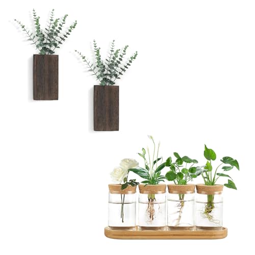 Dahey Wood Wall Planter and 4 Pcs Plant Propagation Stations