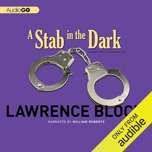 Page de couverture de A Stab in the Dark