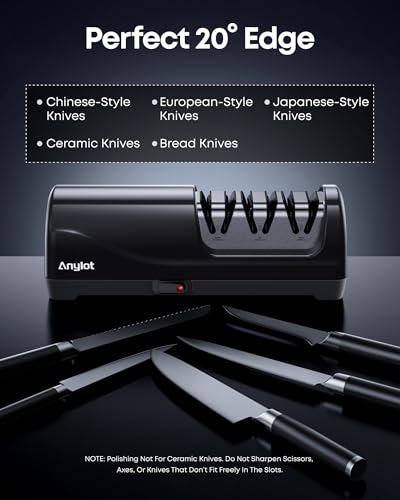 Professional Electric Knife Sharpener