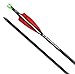 TenPoint EVO-X CenterPunch Alpha-Brite Carbon Arrows, 20