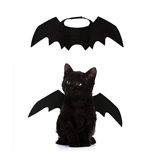 KOBWA Disfraz de alas de Gato, alas de Bate para Mascotas pequeñas, Perro, Gato, Bate alas, Disfraz de Cosplay, decoración de Halloween para Halloween, Fiesta temática de Vacaciones Cover