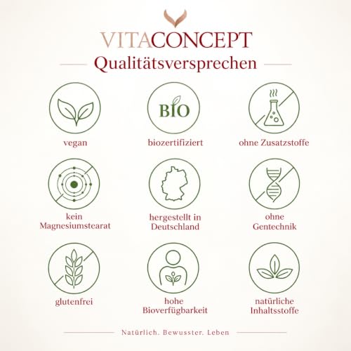Foto von Sägepalme und Kürbiskern (5% Phytosterole) | 500 mg pro Kapsel | 120 hochdosierte Kapseln | Sägepalmenextrakt + Kürbiskernextrakt | laborgeprüft | Vitaconcept®