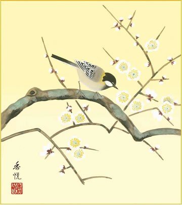 Amazon.co.jp: 四季絵色紙4枚セット-花鳥四趣（新絹本）SIK-001