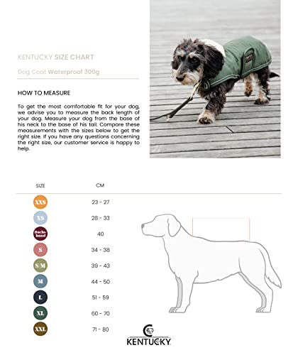 Kentucky Hundemantel - Wasserdicht Grün 300g - L - 51-59cm
