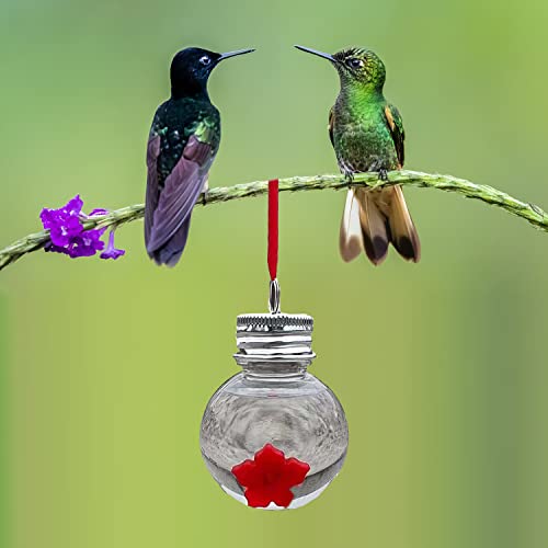 Hilivesvalue 2Pack Mason Jar Hummingbird Feeder With Flower Feeding Ports, Wild Birds Feeding Jar, Portable Clear 800Ml Reservoir Design, For Outdoors Hanging Yard Garden Decoration #TOP2