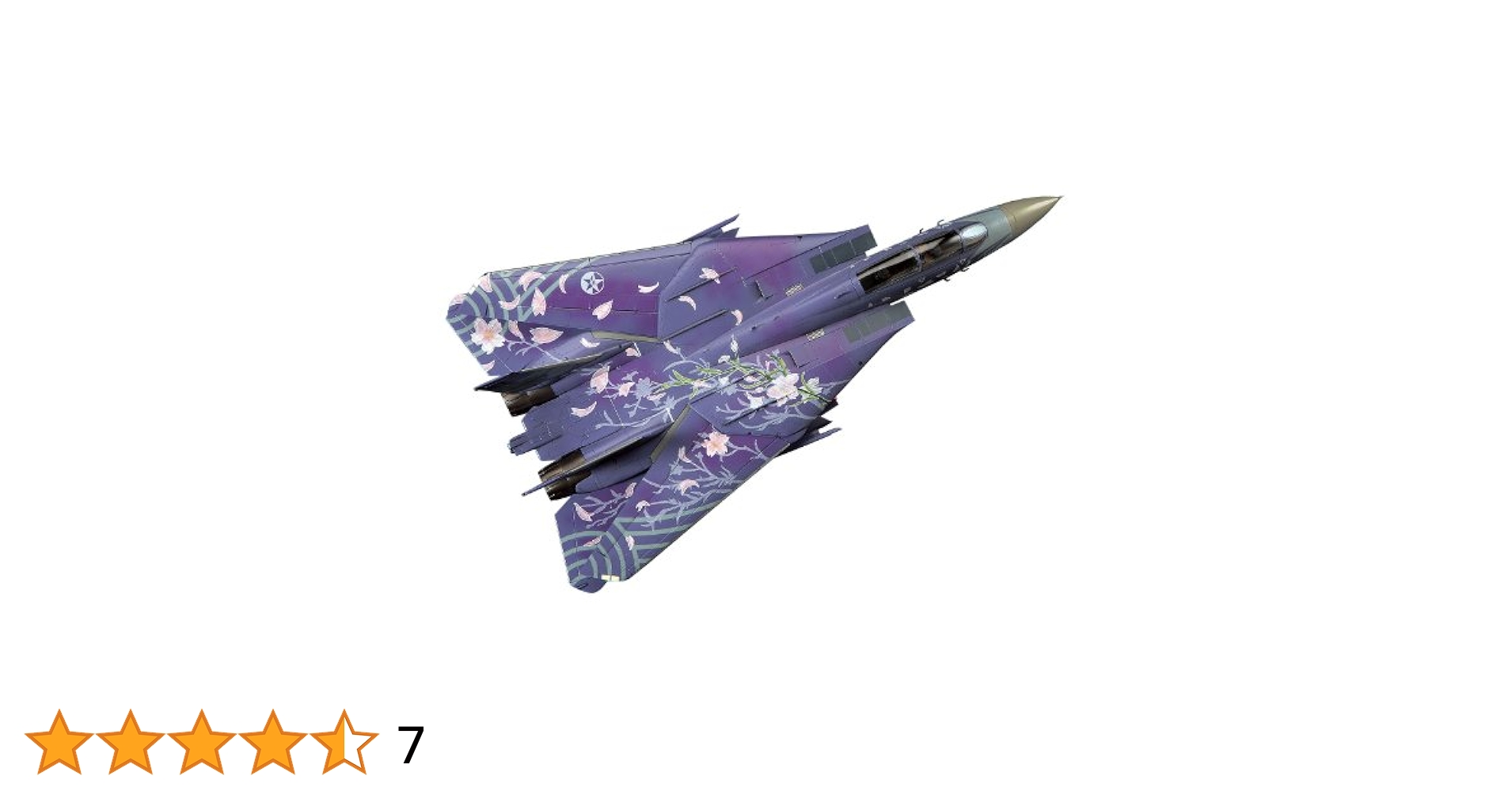 ハセガワ  F-14D トムキャット　エースコンバットさくら 41Ri3pIJ8mL.jpg_BO30,255,255,