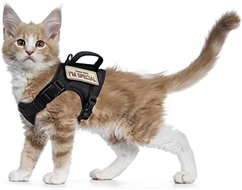 Tactical Cat Harness for Walking Escape Proof, Soft Mesh Adjustable Pet Vest Harness for Large Cat,Small Dog (Medium, Black)
