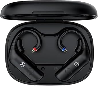 Fanmusic TRN BT20 Pro True Wireless Bluetooth 5.3 Earphone Module Swappable connectors Headphones not Included 2Pin 0.78mm