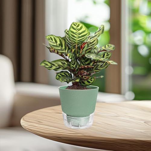 Pots de plante d'auto-arrosage 6 pouces pour éviter l'excès d'eau - 5