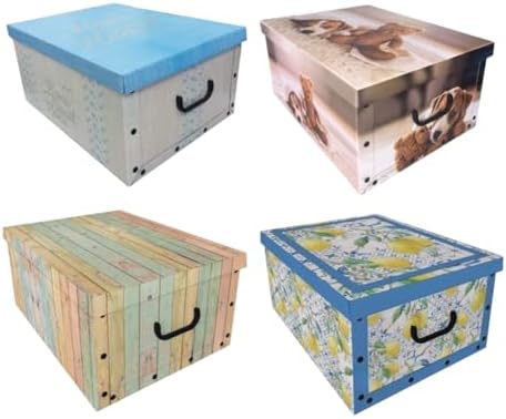 Generico Bdit Accesorios - 4 piezas Caja para Armario en Cartón c...