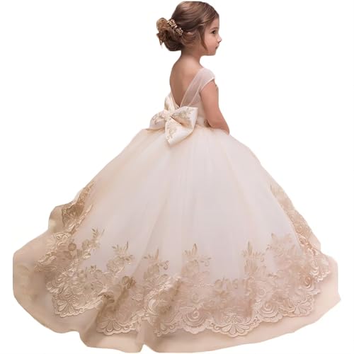 Tulle Flower Girl Dress for Wedding Lace Applique Princess Pageant Ball Gown Kids Formal Ball Gown3