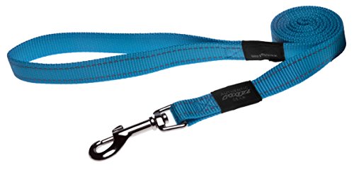 Reflective Dog Leash For Extra Large Dogs, 1" Wide, 6' Long, Turquoise #TOP9