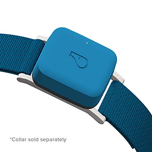 Whistle GO 2-Pack (Blue/Blush)