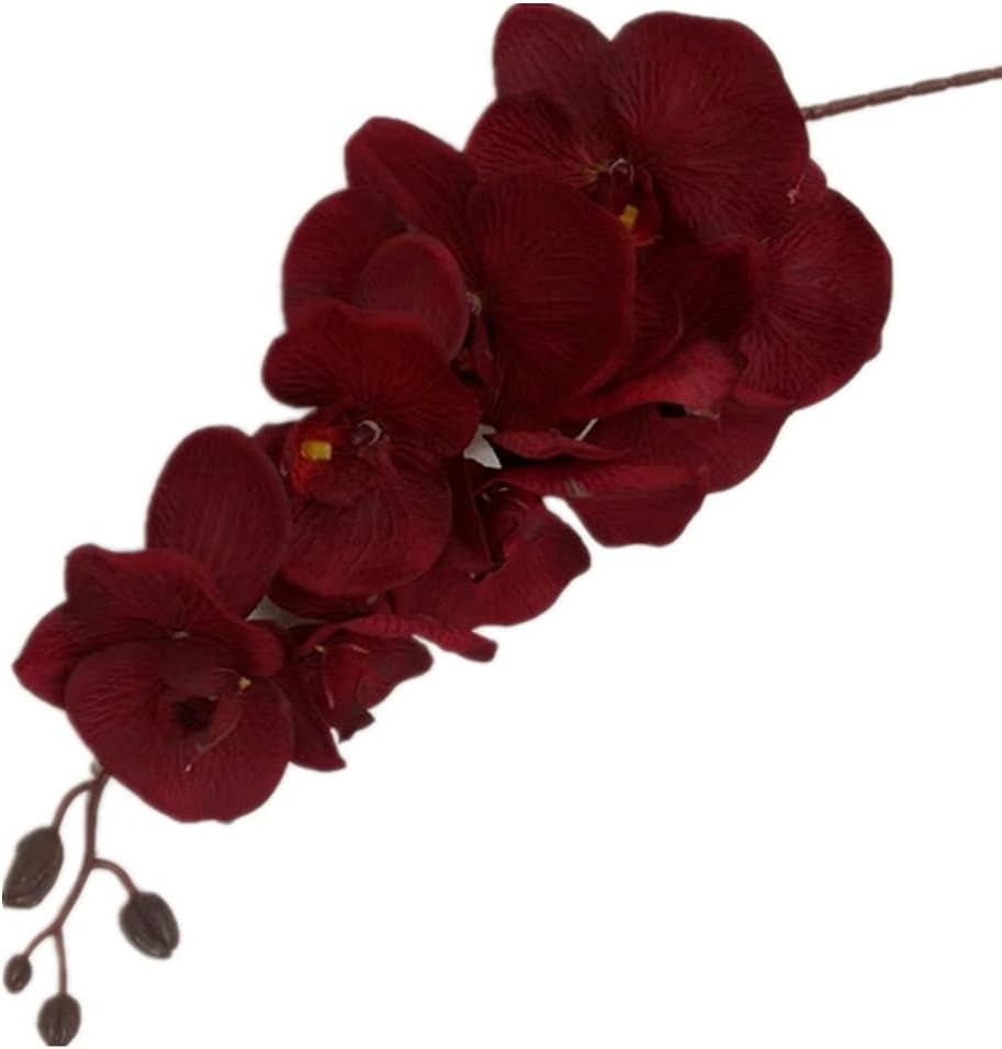 5pcs Moth Phalaenopsis Orchid Branch 8 Heads Butterfly Orchid Stem for Wedding Centerpieces Floral Decoration (Burgundy)
