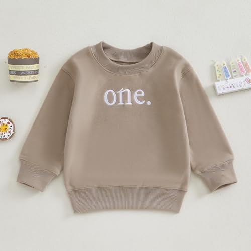 Toddler Baby Boy Girl One/Two Years Birthday Outfit Long Sleeve Embroidery Sweatshirt Shirt Crewneck Pullover Tops2