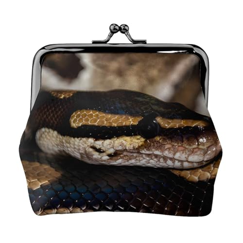 K fB[X ܌z fB[X z pC\ v  ^ RCP[X D 킢 KHIY023