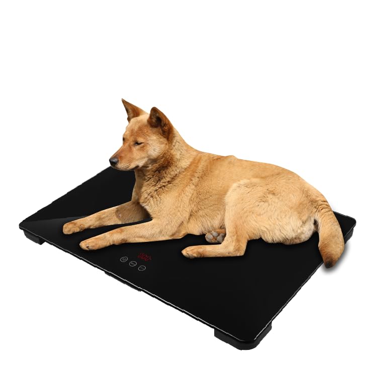 Kurflo Tierwaage für große Hunde, Digitale für Hunde & Katzen, Tierwaage mit großer Plattform bis 100 kg, für Welpen, erwachsene Tiere & Veterinärgebrauch, in Schwarz (80x50 cm)