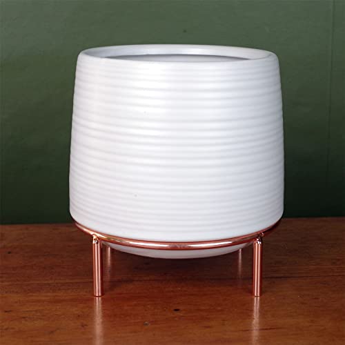 Leaf Indoor Cachepot Planters, White Ceramic Gold Stand, 18cm