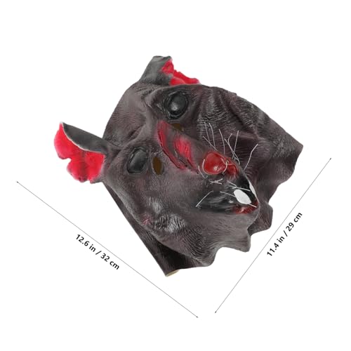 Photo complémentaire