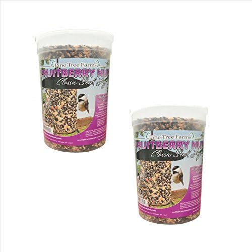 2 Pack, Pine Tree Farms 8006 Fruit Berry Nut Classic Seed Log, 68-Ounce