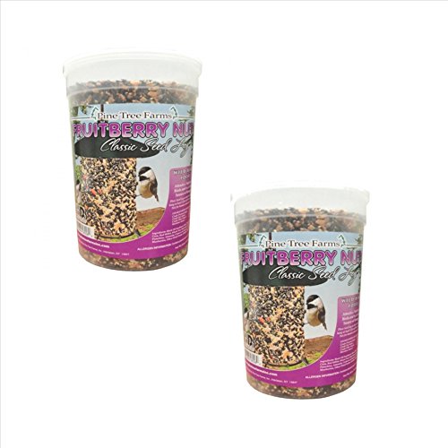 2 Pack, Pine Tree Farms 8006 Fruit Berry Nut Classic Seed Log, 68-Ounce