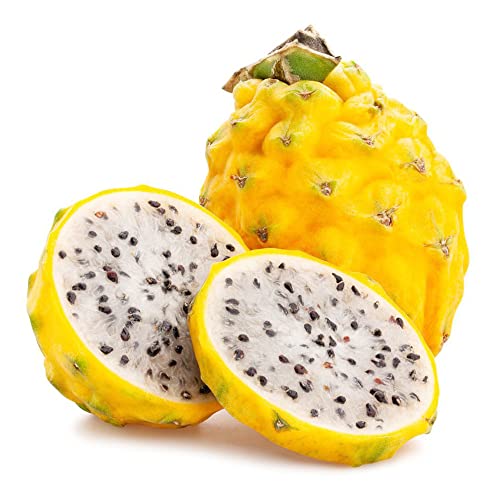 Qauzuy Garden Dragon Fruit Seeds 25 Yellow Pitahaya Pitaya Seeds, Non-Gmo Heirloom Fruit Seeds, Highly Nutritious Delicious Perennial Fruits Plant For Garden Home #TOP3