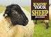 Know Your Sheep (Old Pond Books) 44 Sheep Breeds from Beulah Speckled Face to Wensleydale, with Full-Page Photos and Comprehensive Descriptions of the Appearance, History, Wool Quality, and More