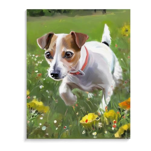 Paint by Numbers Jack Russell Terrier Dog DIY Acrylic Painting Kit with Brushes Pigment Oil Painting Artwork Adults Beginners Wall Decor 20x24inch(50x60cm) Frameless