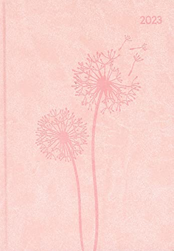 Bewusst werden Kühlschrank Bewältigung kyome taschenkalender 2023 ich