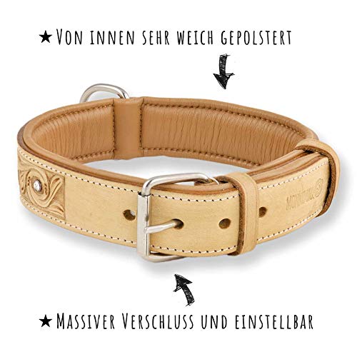 Monkimau Halsband für Hunde, Premium Kristalle, Beige, L 42-50 cm