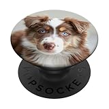 Cuccioli di cane Aussie. Aussie Cucciolo Australian Shepherd PopSockets PopGrip Adesivo