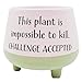 Witty Footed Planter, Fun Unique Decor, Funny Freestanding Tabletop Decoration, 4.25 Inches