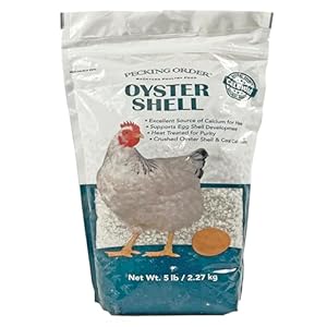 Pecking Order Oyster Shell – Calcium Supplement to Support Laying Hens and Strong Egg Shell Development (5 LB)