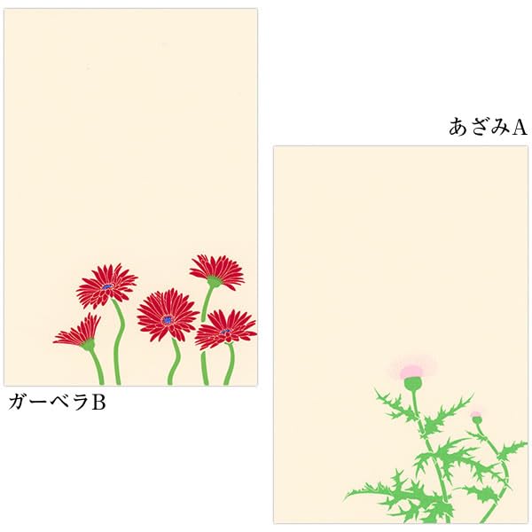 ハガキ葉書 Amazon | 鳩居堂 初夏のはがき 13枚セット（13柄） kyu-144 さくらんぼ