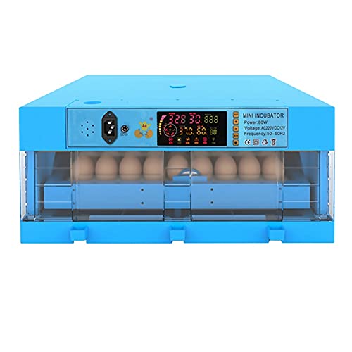 QHYTL Ei Inkubator Temperaturregelung Geflügel Brüter Huhn Küken Ente Brutmaschine für Ente Gans Wachtel Vögel Truthahn