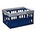 NCAA Fabrique Innovations Collapsible Crate, Memphis Tigers
