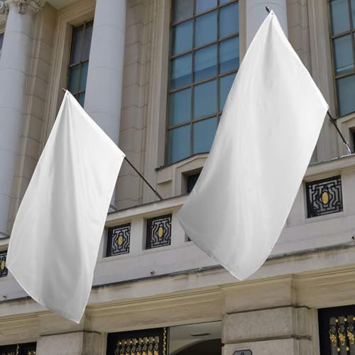 Drapeaux blancs vierges en polyester Boao lot de 12 pour décoration extérieure - 8