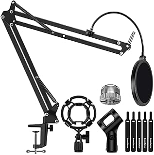 InnoGear Microphone Stand Mic Arm Boom Arm Set with Shock Mount, Mic Clip Holder, Pop Filter, Screw Adapter, Table Mounting Clamp, Five Cable Ties, Professional Recording Equipment(Large)