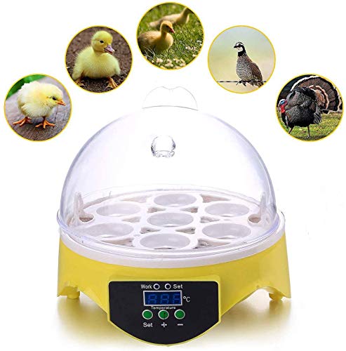 SYue Mini 7 Egg Incubators, Automatic Temperature Control For Chicken Duck Bird Pigeons Quails Family Use,Poultry Hatching Machine