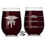 Wine Glass Mood Fill Lines PT Physical Therapist (Stemless, 17oz)
